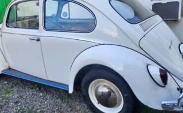 Volkswagen-Vw-bug-1965-138403