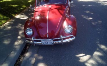 Volkswagen-Vw-bug-1967-red-2414-3