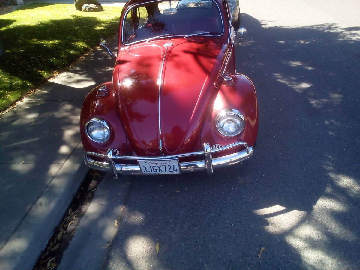 Volkswagen-Vw-bug-1967-red-2414-3