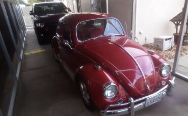 Volkswagen-Vw-bug-1967-red-2414