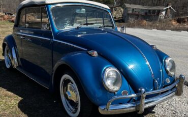 Volkswagen-Vw-bug-convertible-1966-blue-23979-10