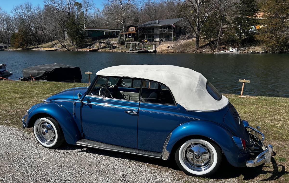 Volkswagen-Vw-bug-convertible-1966-blue-23979-3