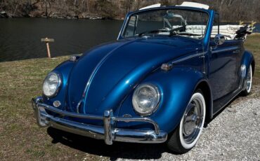 Volkswagen-Vw-bug-convertible-1966-blue-23979