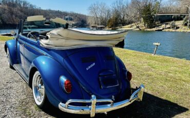 Volkswagen-Vw-bug-convertible-1966-blue-23979-7