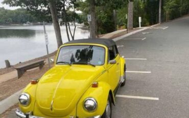 Volkswagen-Vw-super-beetle-convertible-1973-yellow-13724-1