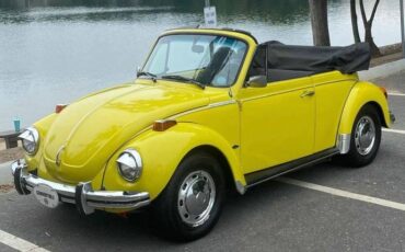 Volkswagen-Vw-super-beetle-convertible-1973-yellow-13724-2